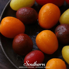 Collection image for: Tomato