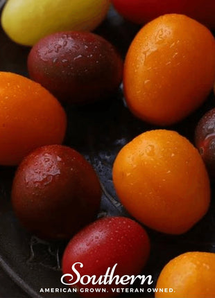 Rainbow Cherry Tomato – 50 Seeds
