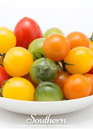 Rainbow Cherry Tomato – 50 Seeds