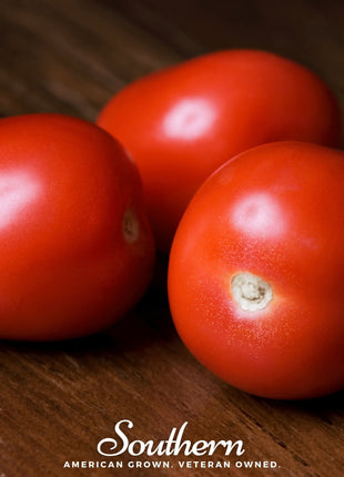Roma VF Tomato – 50 Seeds