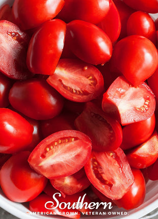 Roma VF Tomato – 50 Seeds