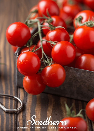 Small Red Cherry Tomato – 50 Seeds