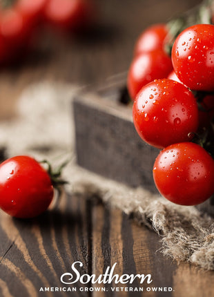 Small Red Cherry Tomato – 50 Seeds