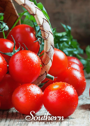 Small Red Cherry Tomato – 50 Seeds