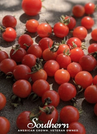Sweetie Tomato – 50 Seeds