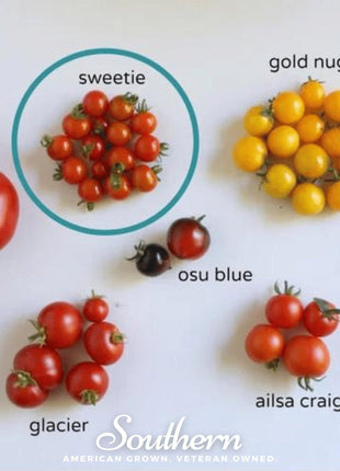 Sweetie Tomato – 50 Seeds