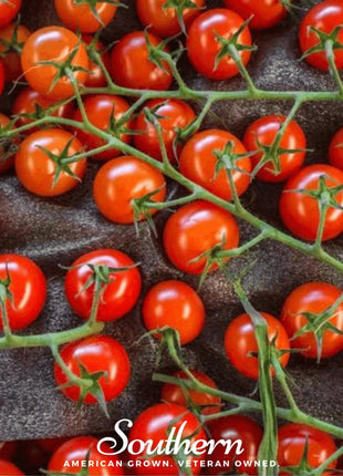 Sweetie Tomato – 50 Seeds