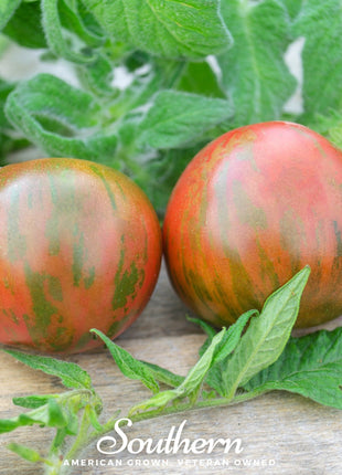 Tigerella Tomato – 50 Seeds