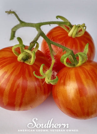 Tigerella Tomato – 50 Seeds