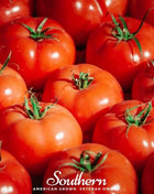 VR Moscow Tomato – 50 Seeds