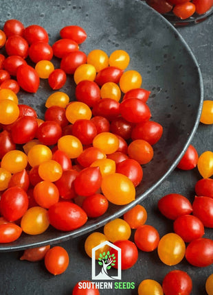 World's Smallest Tomato – Tomberry – 25 Seeds