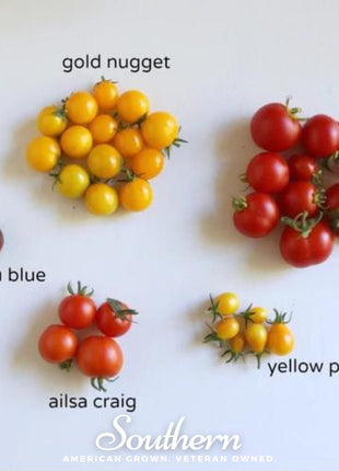 Yellow Pear Tomato – 50 Seeds