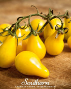 Yellow Pear Tomato – 50 Seeds