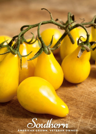 Yellow Pear Tomato – 50 Seeds