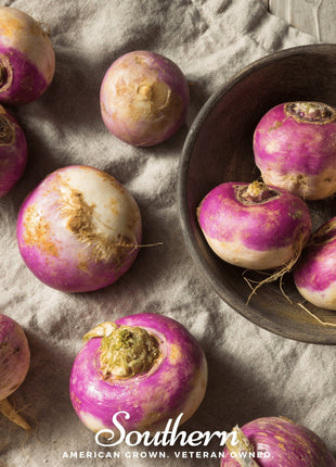 Purple Top White Globe Turnip – 250 Seeds