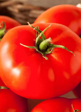 Beefsteak Tomato – 30 Seeds