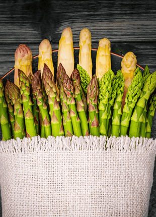 UC157 F2 Asparagus – 50 Seeds