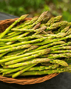 UC157 F2 Asparagus – 50 Seeds