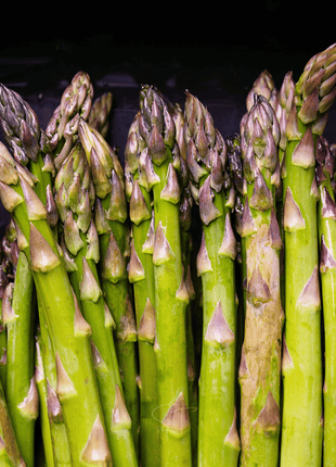 UC72 Asparagus – 50 Seeds