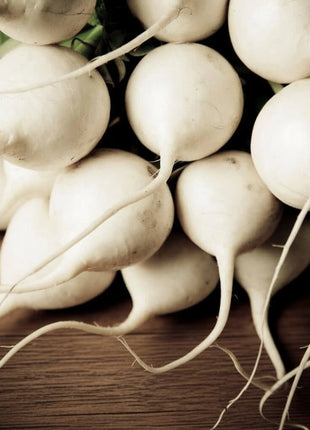 Hailstone Radish – 100 Seeds