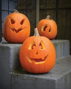 Jack O Lantern Pumpkin – 20 Seeds