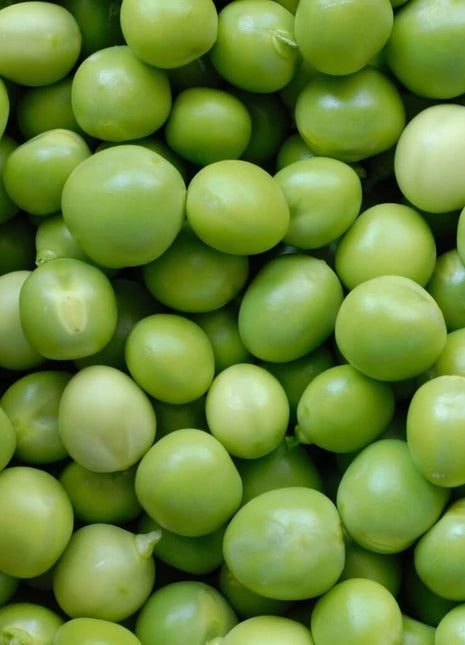 Green Arrow Peas – 25 Seeds