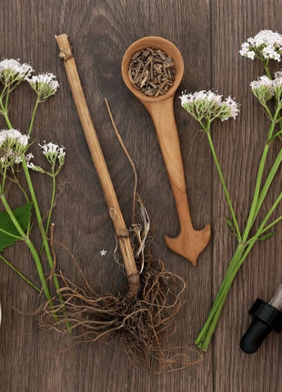 Valerian – 100 Seeds