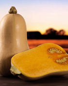Waltham Butternut Winter Squash – 25 Seeds