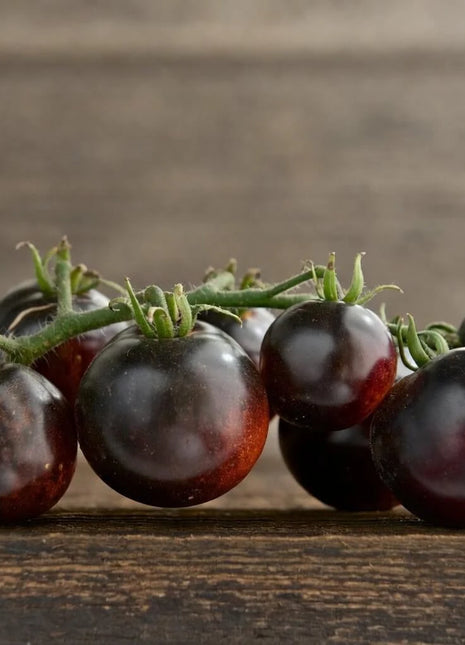 Black Cherry Tomato – 20 Seeds