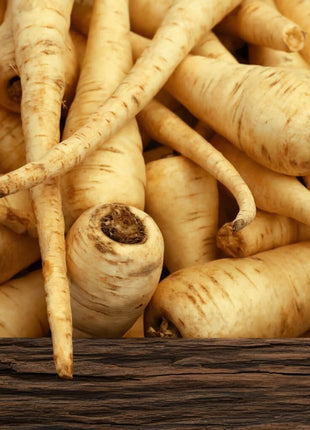 All American Parsnip – 100 Seeds