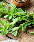 Purslane – 100 Seeds