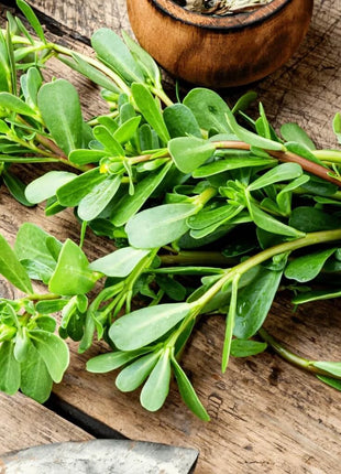 Purslane – 100 Seeds