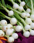 Walla Walla Onion – 200 Seeds