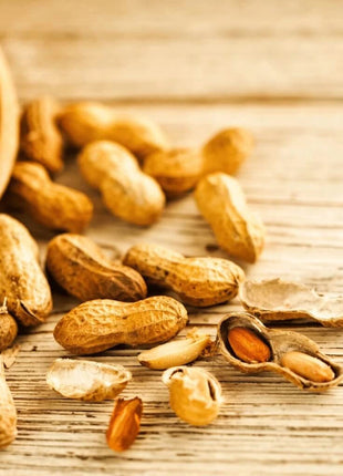 Virginia Jumbo Peanuts – 10 Seeds