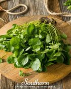 Watercress – 200 Seeds