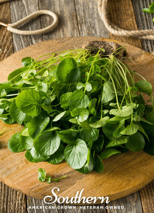 Watercress – 200 Seeds