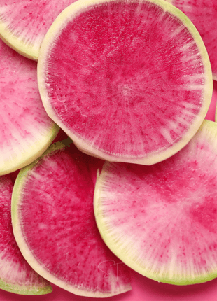 Watermelon Radish – 50 Seeds