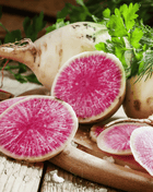 Watermelon Radish – 50 Seeds