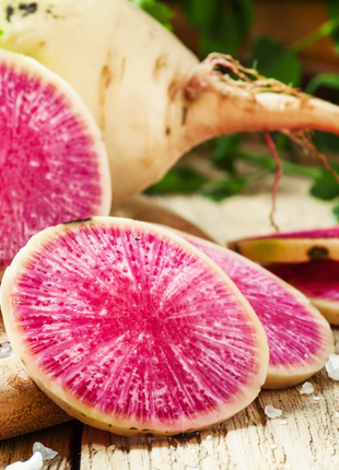 Watermelon Radish – 50 Seeds