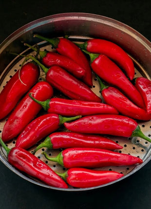 Tabasco Pepper – 50 Seeds