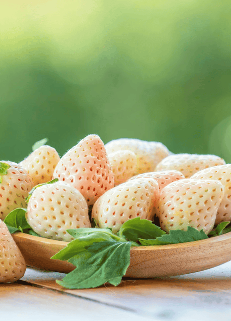 White Soul Strawberry – 100 Seeds