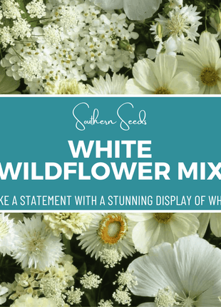 White Wildflower Seed Mix – 100 Seeds