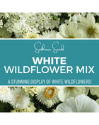 White Wildflower Seed Mix – 100 Seeds