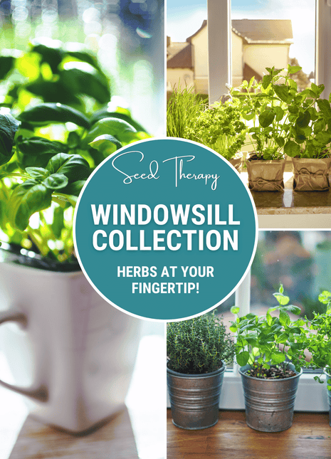 Windowsill Herb Seed Collection – 6 Culinary Herbs