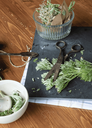 Wormwood – 200 Seeds