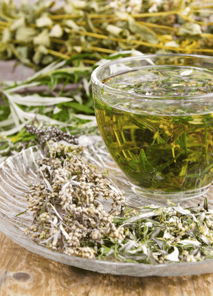 Wormwood – 200 Seeds