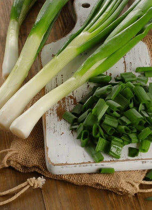Tokyo Long White Onion – 200 Seeds