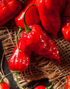 Ghost Pepper – Red Bhut Jolokia – 25 Seeds