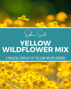 Yellow Wildflower Seed Mix – 1,000 Seeds