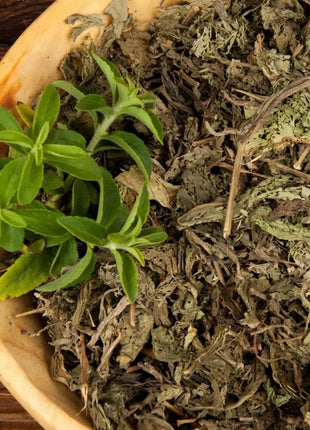 Stevia – 50 Seeds